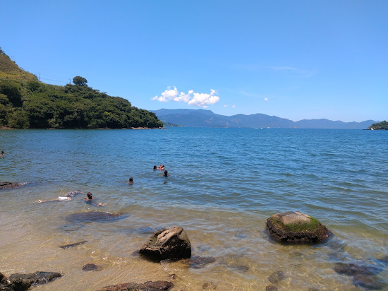 Bladder Beach