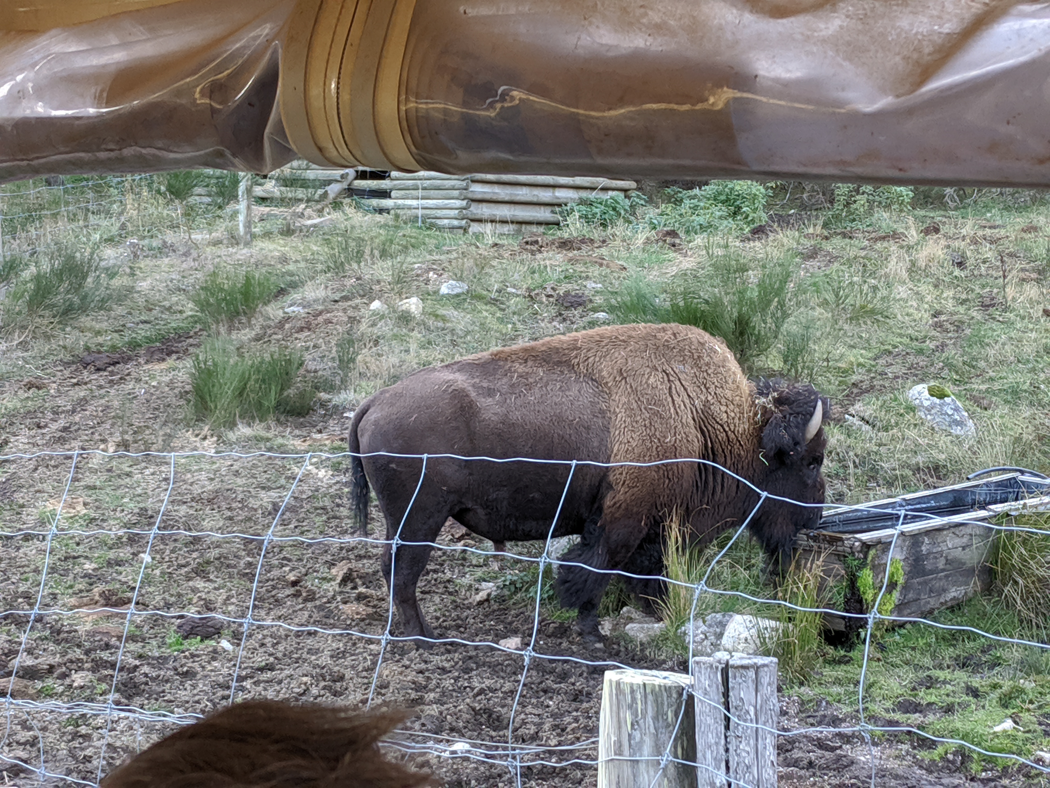 Photo n° 6 de l'avis de nicolas.a fait le 26/10/2019 à 15:33