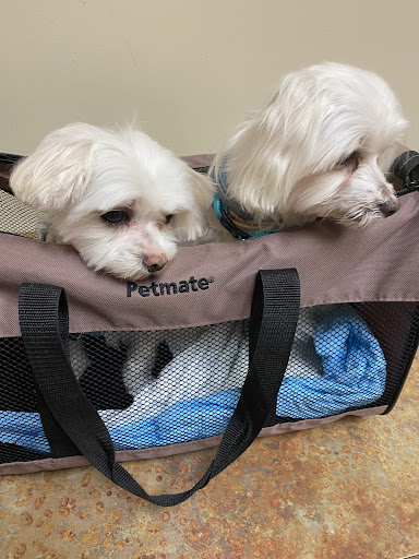 Pet Supply Store «Petco Animal Supplies», reviews and photos, 340 Grasmere Ave, Fairfield, CT 06824, USA