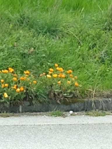 Piensos San Cristobal - Berriozar