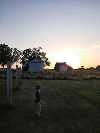 Vineyard «Ardon Creek Vineyard and Winery», reviews and photos, 2391 Independence Ave, Letts, IA 52754, USA