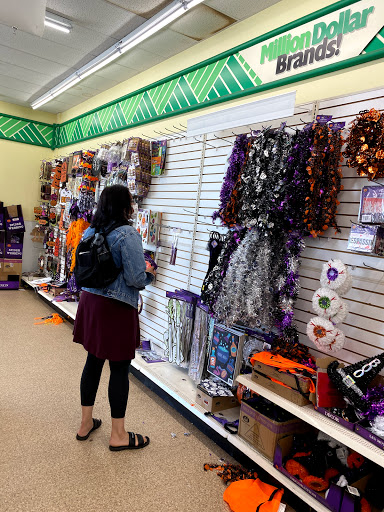 Dollar Store «Dollar Tree», reviews and photos, 500 NJ-38, Cherry Hill, NJ 08002, USA