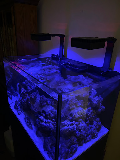 Tropical Fish Store «Ultimate Reefs & Aquariums», reviews and photos, 6020 S Memorial Dr, Tulsa, OK 74145, USA