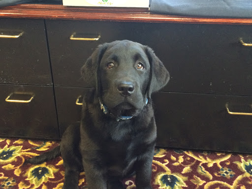 Golf Club «Heatherwoode Golf Club», reviews and photos, 88 Heatherwoode Blvd, Springboro, OH 45066, USA