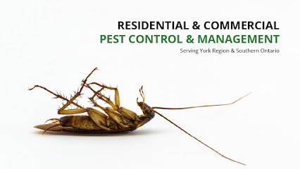 York Pest Control