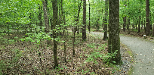 Arkansas Arboretum