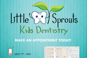 Little Sprouts Kids Dentistry image