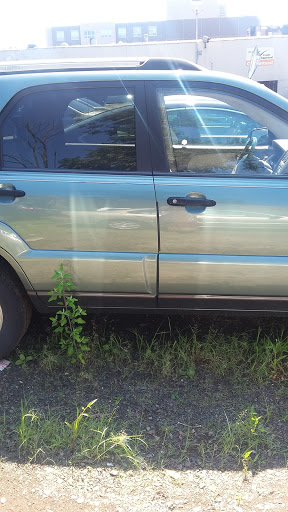 Used Car Dealer «Elizabeth Avenue Auto Sales», reviews and photos, 211 Central Ave, City of Orange, NJ 07050, USA