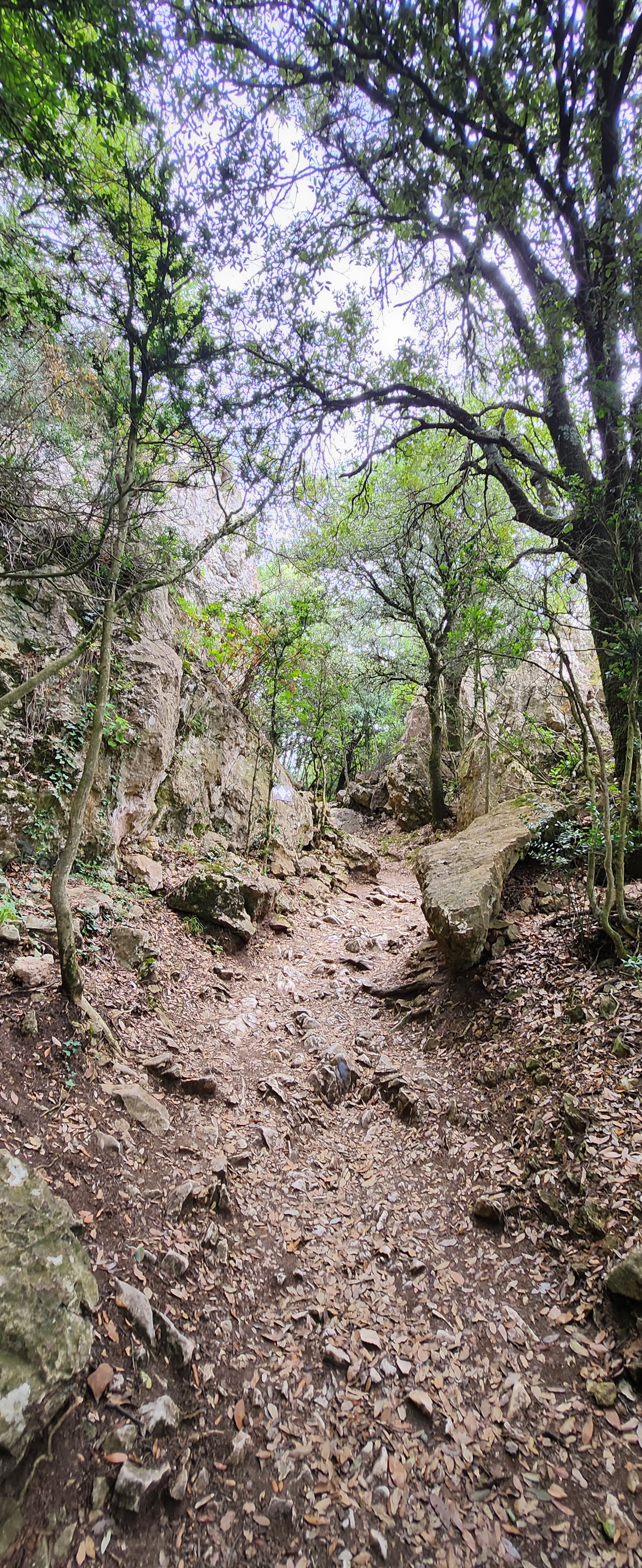 Photo n° 5 de l'avis de Robin.y fait le 04/08/2023 à 12:01