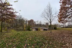 Grünbrücke image