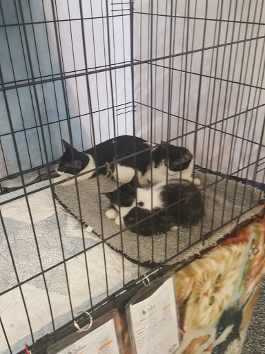 Pet Supply Store «Petco Animal Supplies», reviews and photos, 1401 E Spring Valley Rd, Richardson, TX 75081, USA