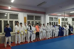 Judo & Ju-Jitsu (Clubul Sportiv Pontica) image