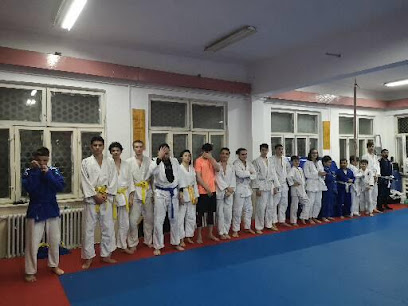 Judo & Ju-Jitsu (Clubul Sportiv Pontica) - Bulevardul Tomis nr. 153, Constanța 900647, Romania