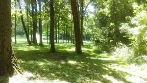 Muhlenberg Recreation - photo 5
