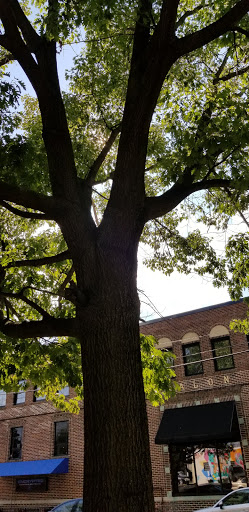 Cafe «Cafe BOLD», reviews and photos, 550 Penn Ave, West Reading, PA 19611, USA