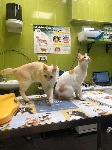 Clínica Veterinaria Sarriguren en Sarriguren