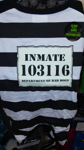 Craft Store «Michaels», reviews and photos, 9 Mozzone Blvd Unit 100, Taunton, MA 02780, USA