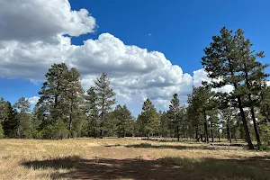 Flagstaff City Park image