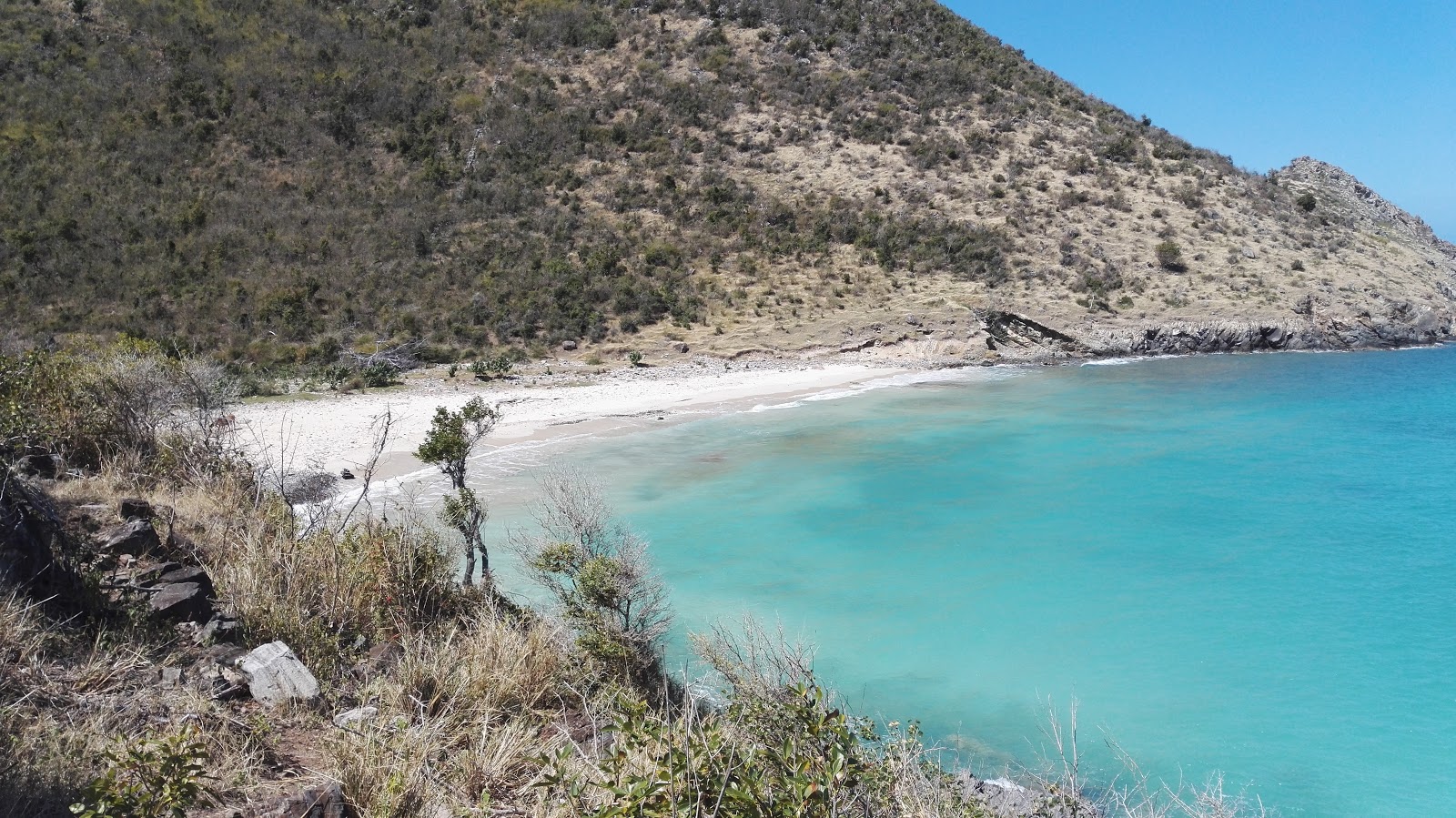 Duck's beach'in fotoğrafı biraz temiz temizlik seviyesi ile