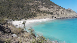 Duck's beach'in fotoğrafı biraz temiz temizlik seviyesi ile