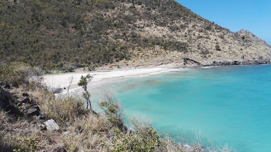 Duck's beach