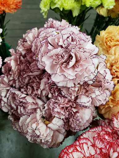 Florist «Norfolk Wholesale Floral», reviews and photos, 601 E Brambleton Ave, Norfolk, VA 23510, USA