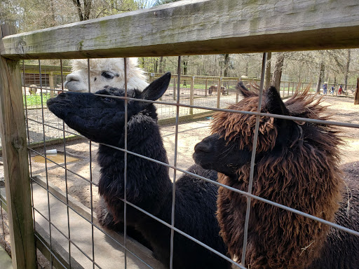 Zoo «Gators and Friends», reviews and photos, 11441 US-80, Greenwood, LA 71033, USA