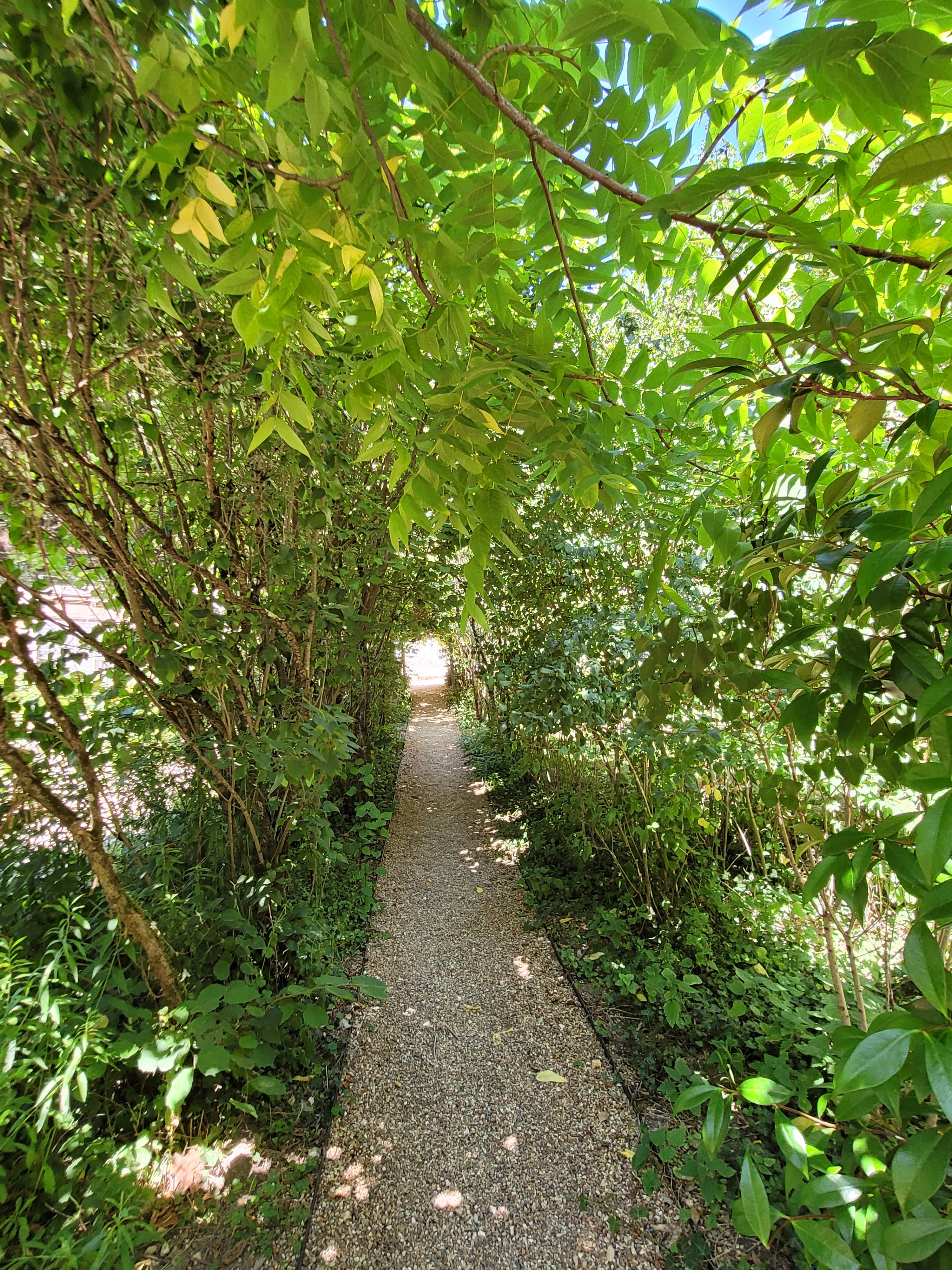 Photo n° 7 de l'avis de Anne.o fait le 09/08/2022 à 12:35