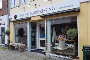 ZENZ Organic Hairdressing image