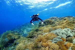 Nusa Scuba Diver image