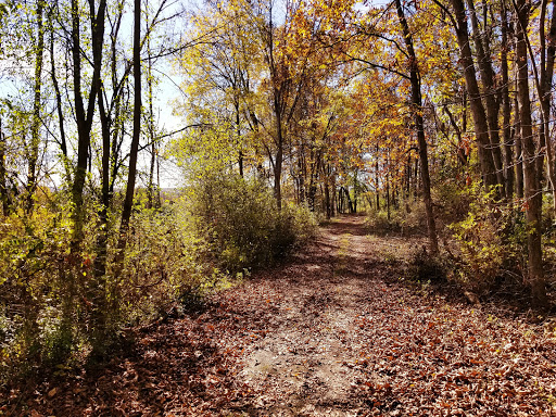 State Park «Goosepond Mountain State Park», reviews and photos, 1198 New York 17M, Chester, NY 10918, USA