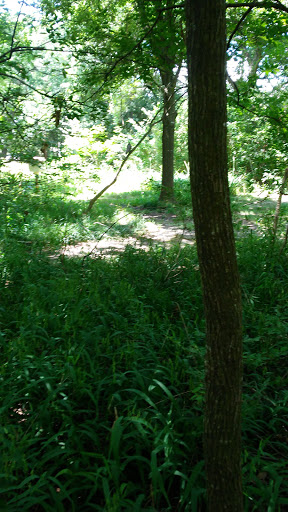 Non-Profit Organization «Nature Discovery Center», reviews and photos, 7112 Newcastle St, Bellaire, TX 77401, USA