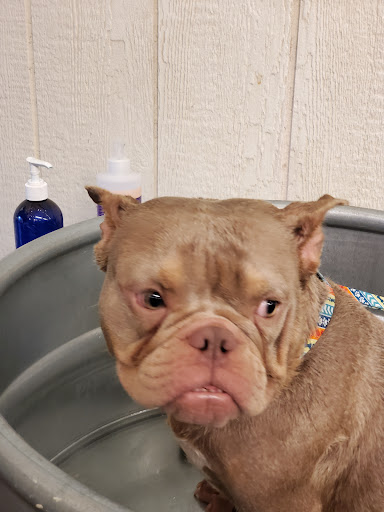 Pet Supply Store «Wags & Whiskers - West Nashville», reviews and photos, 3731 Charlotte Ave, Nashville, TN 37209, USA