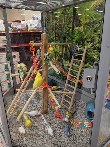 Pet Supply Store «Petco Animal Supplies», reviews and photos, 300 Hylan Dr, Rochester, NY 14623, USA