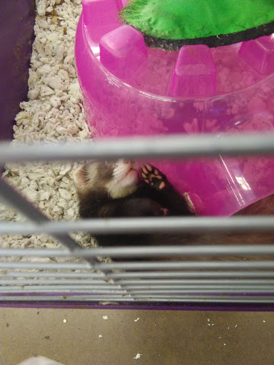 Pet Supply Store «Pet Supplies Plus», reviews and photos, 2600 McFarland Blvd E U, Tuscaloosa, AL 35405, USA