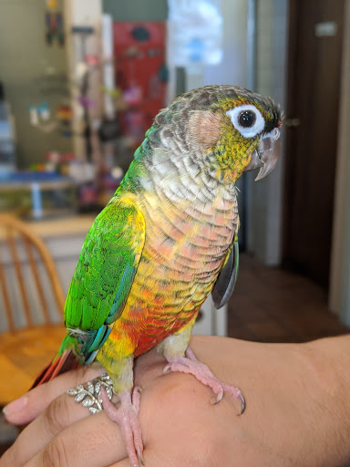 Pet Supply Store «Eden Garden and Pets», reviews and photos, 1439 S 70th St, West Allis, WI 53214, USA