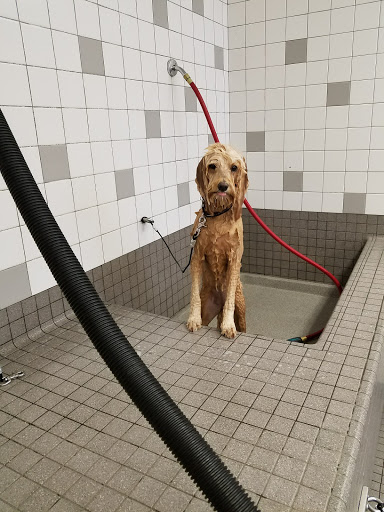 Pet Supply Store «Pet Food Express», reviews and photos, 1101 University Ave, Berkeley, CA 94702, USA