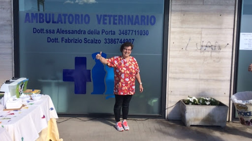 Ambulatorio Veterinario Della Porta Di Della Porta Dott.Ssa Alessandra