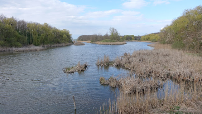 Értékelések erről a helyről: Gyalogos vizi átkelő kalandösvény, Balatonmagyaród - Szórakozóhely