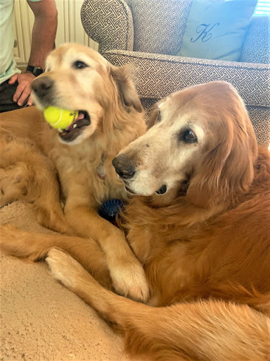 Pet Store «Earthwise Pet - Southlake», reviews and photos, 100 W Southlake Blvd #150, Southlake, TX 76092, USA