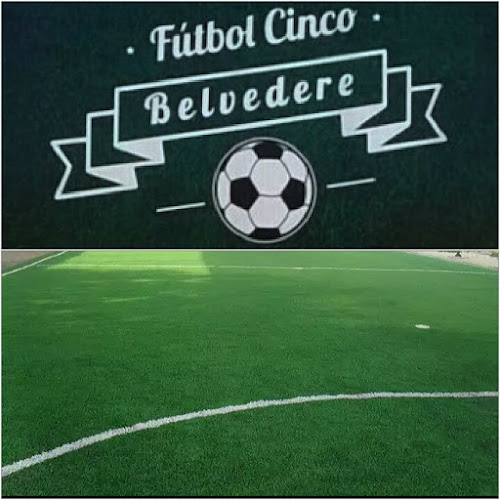 Opiniones de Belvedere futbol 5 en Sarandí Grande - Campo de fútbol