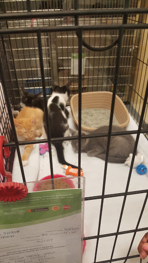 Pet Supply Store «PetSmart», reviews and photos, 2061 Skibo Rd, Fayetteville, NC 28314, USA