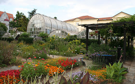 Botanická zahrada Přírodovědecké fakulty Masarykovy univerzity