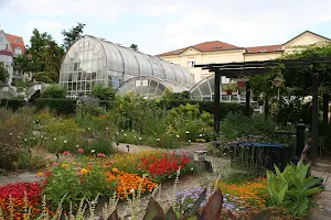 Botanical Garden of the Faculty of Science - Masaryk University image