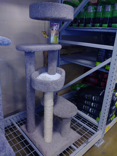 Pet Supply Store «PetSmart», reviews and photos, 15555 E 14th St, San Leandro, CA 94578, USA