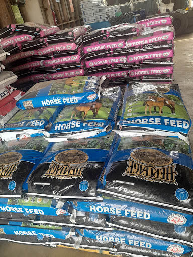 ElChivito Feed Store