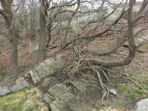 Park «Good Harbor Beach», reviews and photos, 99 Thatcher Rd, Gloucester, MA 01930, USA