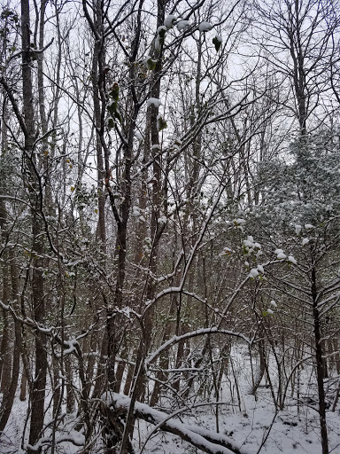 Park «Smyrna Parks & Recreation Department», reviews and photos, 100 Sam Ridley Pkwy E, Smyrna, TN 37167, USA