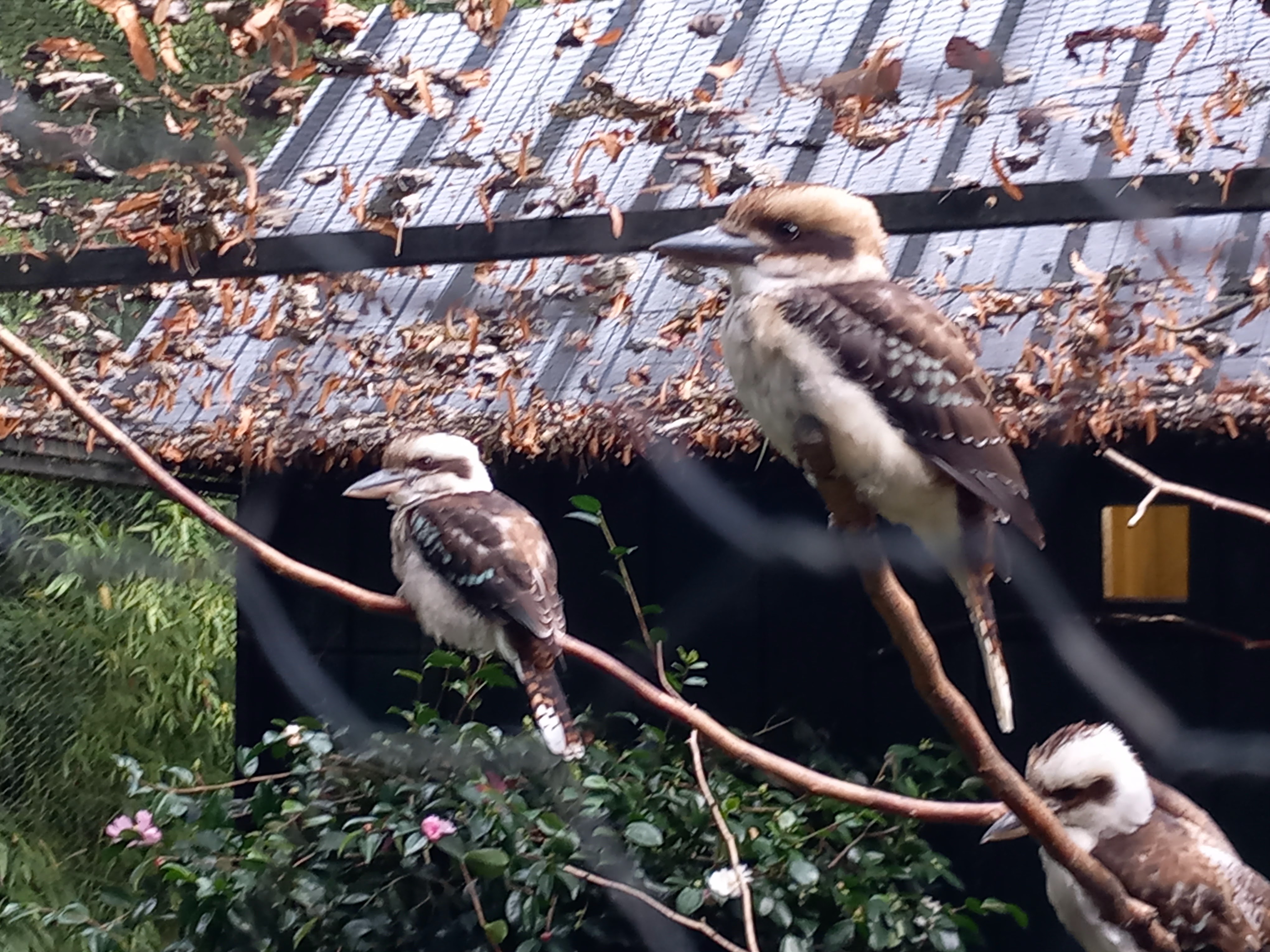 Photo n° 18 de l'avis de Julien.a fait le 11/10/2023 à 18:47