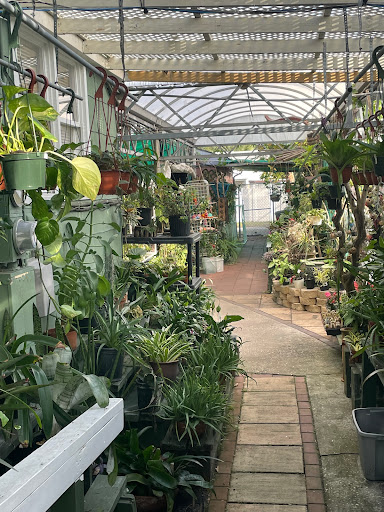 Florist «Thai-Rific Orchids Inc», reviews and photos, 5313 Gulfport Blvd S, Gulfport, FL 33707, USA